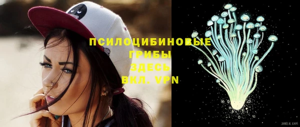 эйфоретик Алексин
