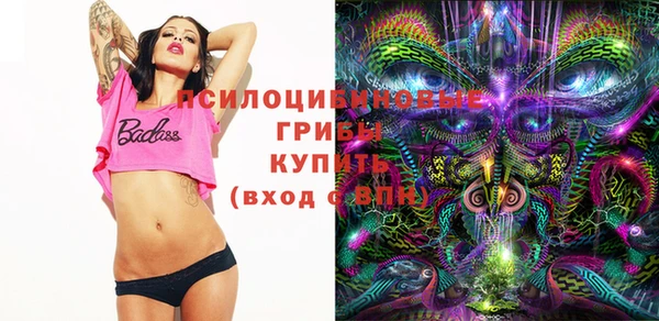 МДПВ Абаза