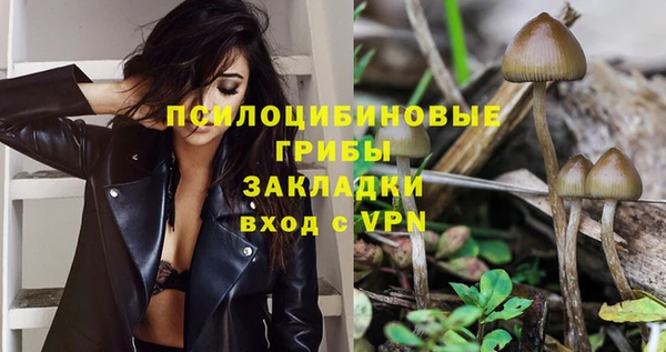 индика Абинск