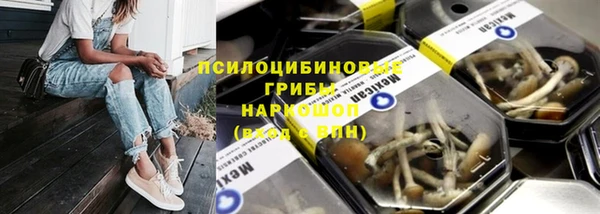 МДПВ Абаза
