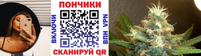 Каннабис гибрид  Ядрин 